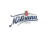 Vigo Importing Home - Vigo Importing